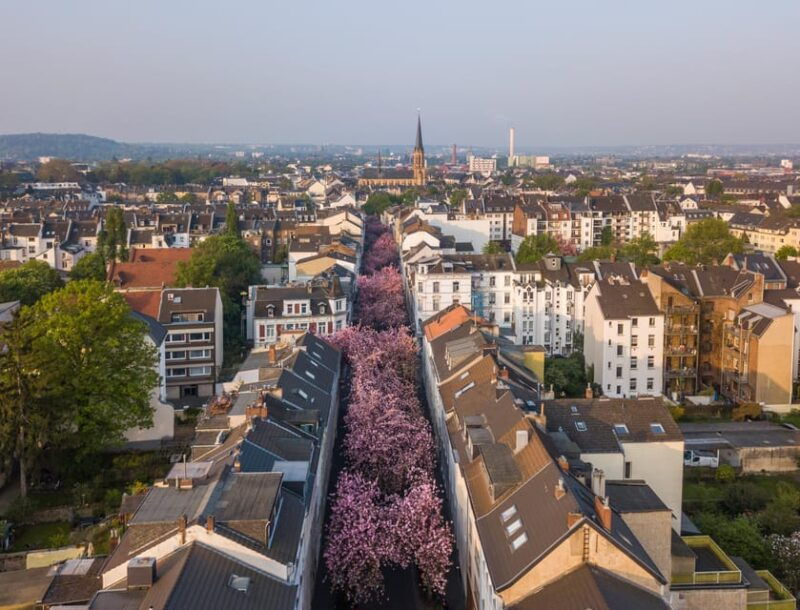bonn-in-1-day-walking-tour-with-digital-guide