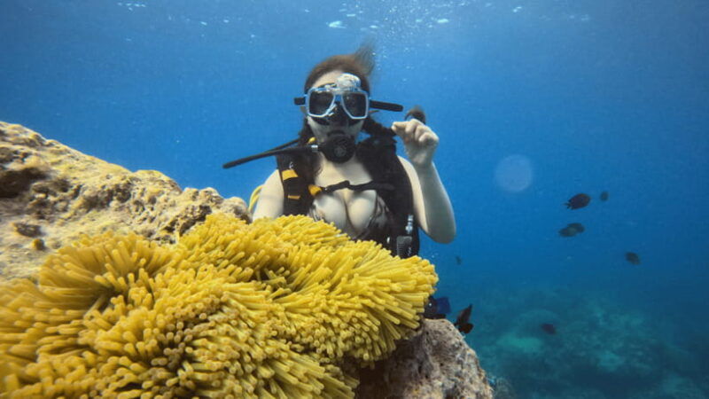 boracay-scuba-diving-with-parasailing-and-e-scooter