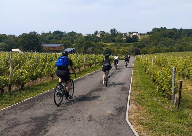 bordeaux-by-gravel-bike-historic-center-vineyards