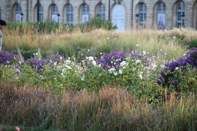 bordeaux-see-the-whole-city-by-bike