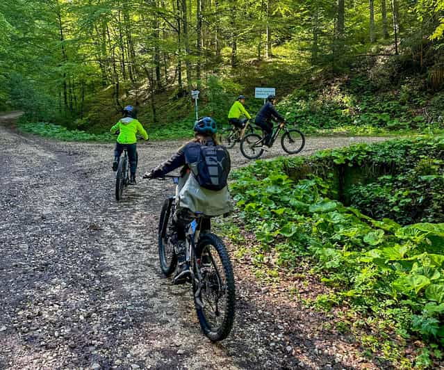 brasov-e-bike-tour-to-poiana-brasov-old-town-forest
