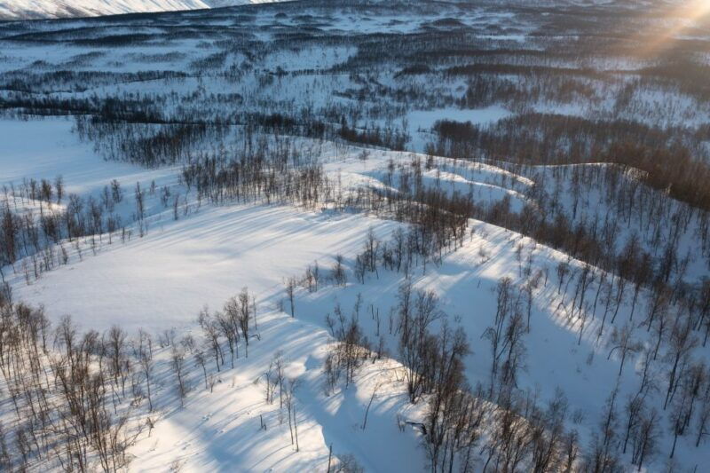 breivikeidet-introduction-to-cross-country-skiing