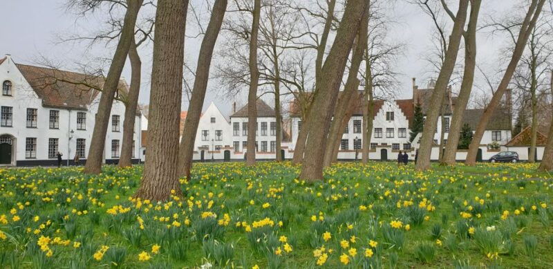 bruges-2-5-hr-walking-tour-from-train-station-to-markt