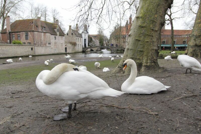 bruges-private-interactive-trivia-city-tour