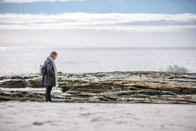 Bruny Island Food, Sightseeing, Guided Lighthouse Tour & Lunch - A Deep Dive into the Experience
