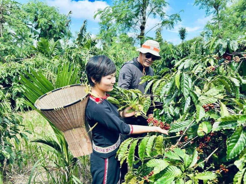 buon-ma-thuot-authentic-coffee-farm-experience-with-lunch