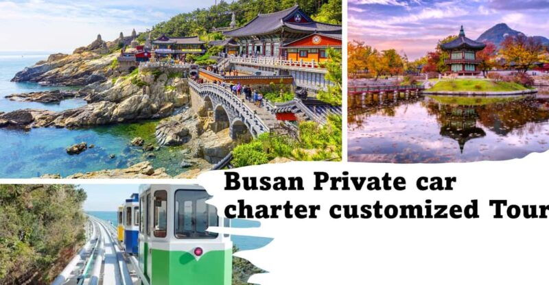 busan-city-private-chartered-car-tour