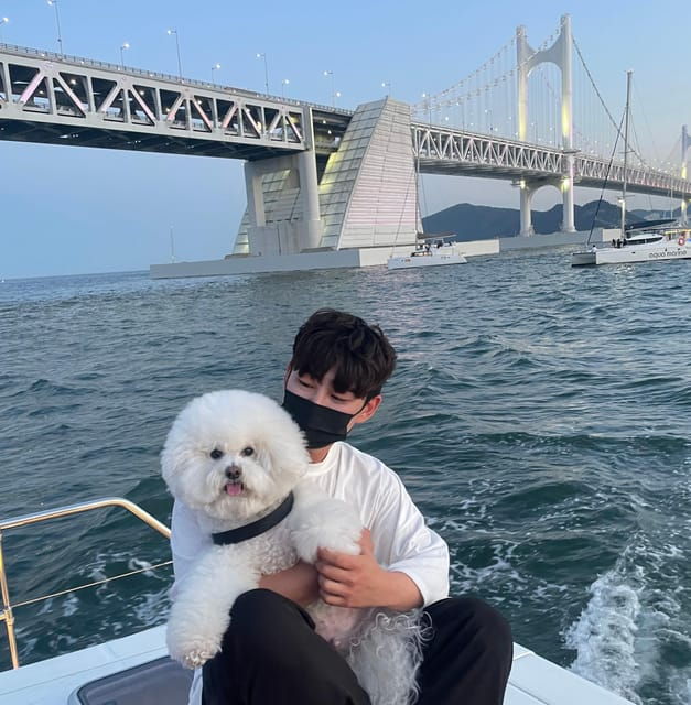 busan-group-sightseeing-yacht-cruise-with-snacks-and-drinks