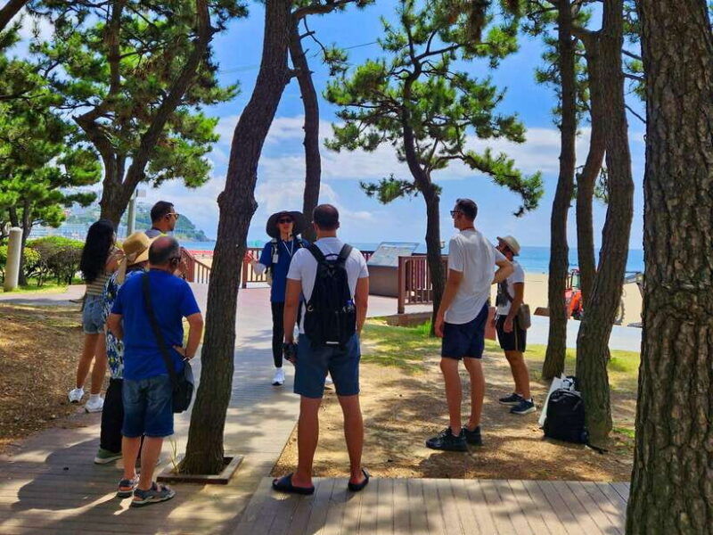 busan-haeundae-100-minute-walking-tour