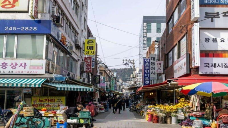 busan-jagalchi-market-gamcheon-village-walking-tour