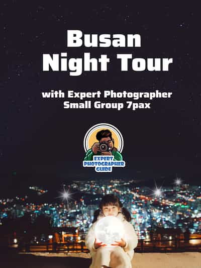 busan-night-tour-includes-snapshots