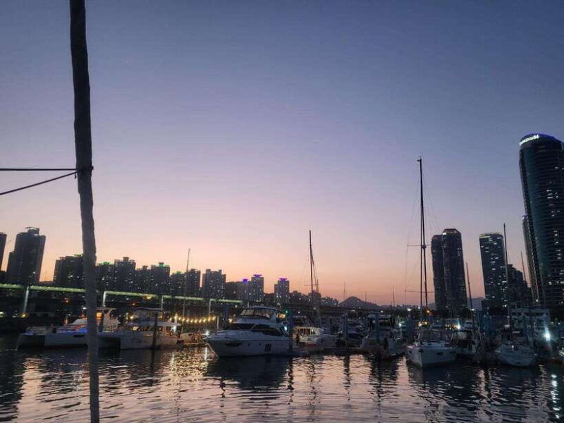 busan-night-view-tour-yacht-hwangnyeongsan-mountain