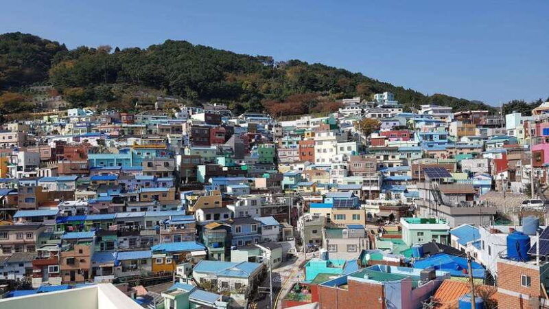 busan-private-full-day-tour-by-ktx-from-seoul