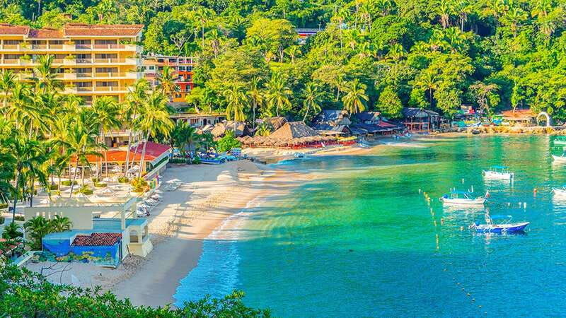 butterflies-tequila-and-beach