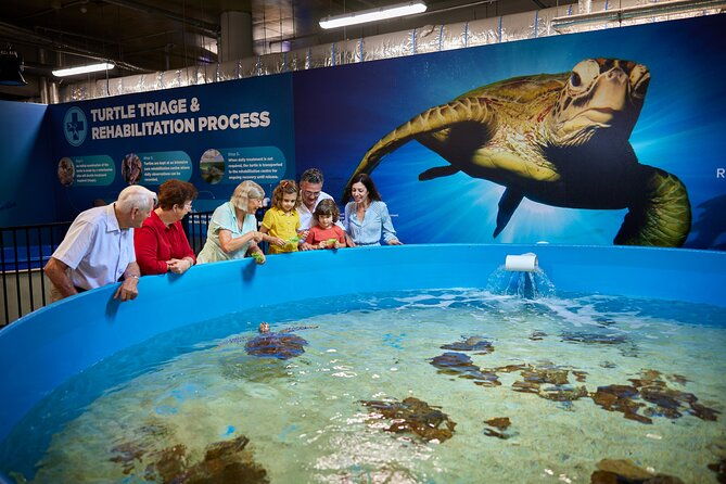 Cairns Aquarium General Admission and Turtle Hospital Tour - Exploring the Cairns Aquarium and Turtle Hospital Tour