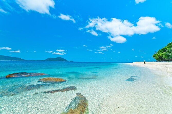 Cairns: Enjoy Mission Beach | Small Group | Outer Reef Snorkel - Who Is This Tour Best For?