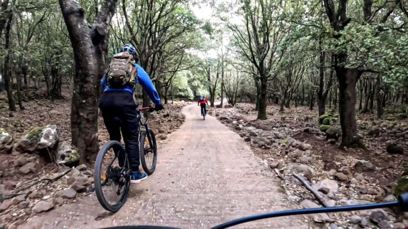 cala-gonone-and-dorgali-e-bike-tour