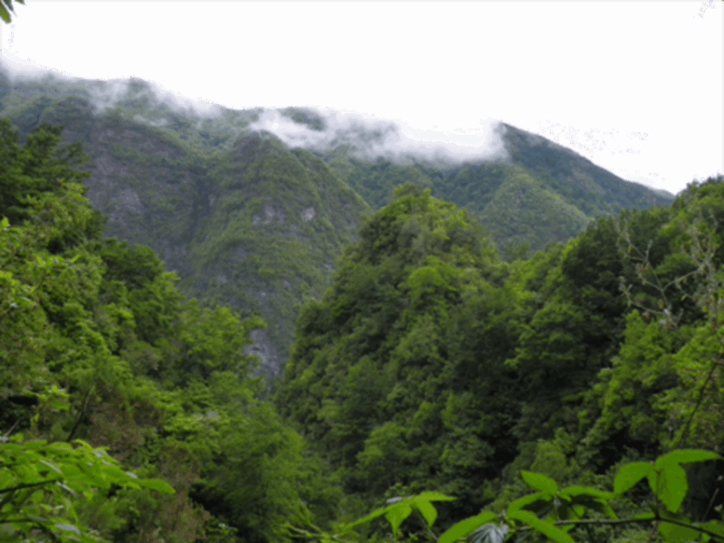 caldeirao-verde-walking-tour-with-guide