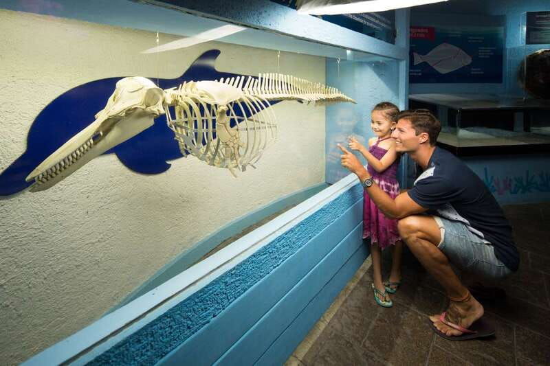 cancun-interactive-aquarium-admission