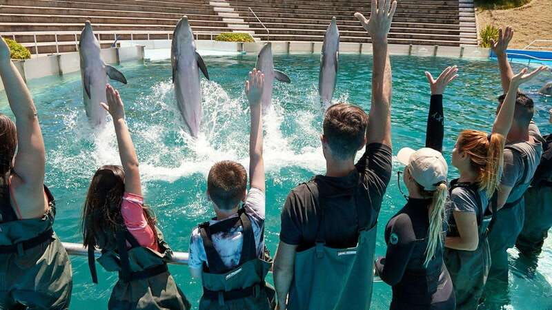 cancun-ticket-for-the-interactive-aquarium