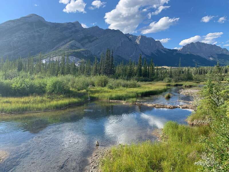 canmore-private-safari-drive-to-banff-park-nature-walk