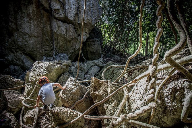 Capricorn Caves Capricorn Explorer - Exploring the Capricorn Caves: What You Can Expect