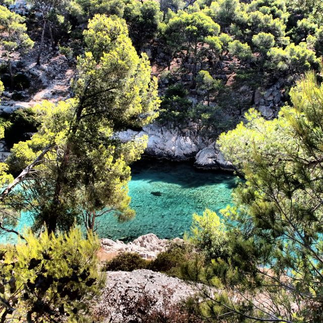 cassis-calanques-national-park-sea-kayaking-tour