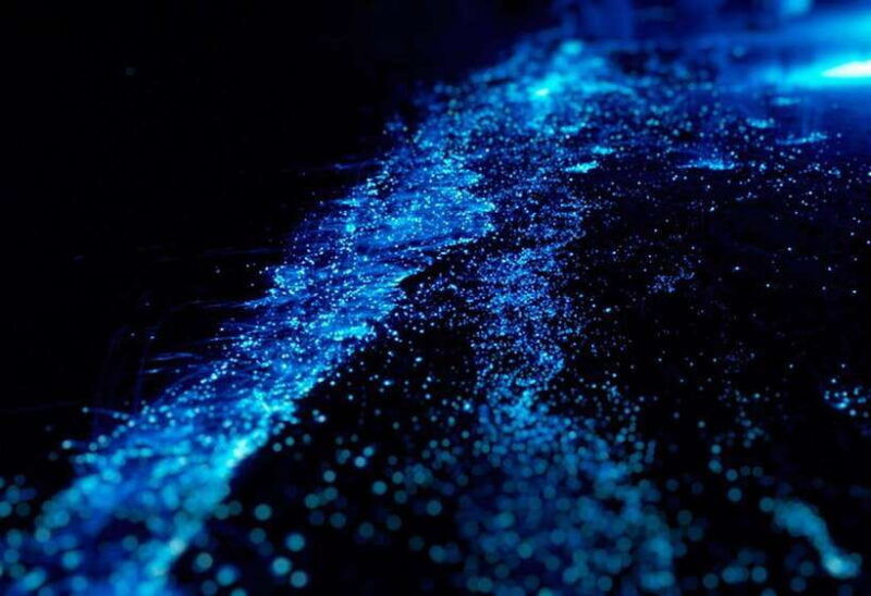 cat-ba-sunset-bioluminescent-kayaking-on-lan-ha-bay