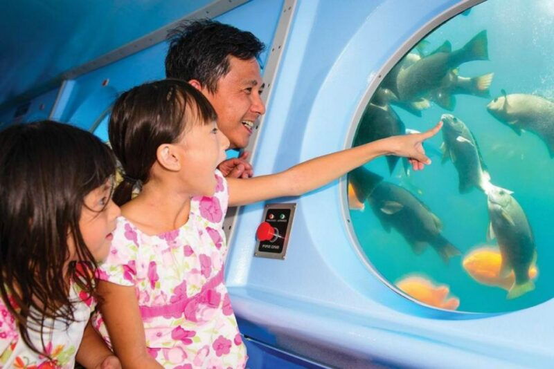 catalina-island-yellow-semi-submarine-cruise