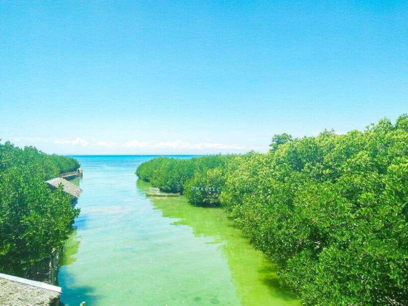 cebu-bantayan-island-day-tour-private-tour