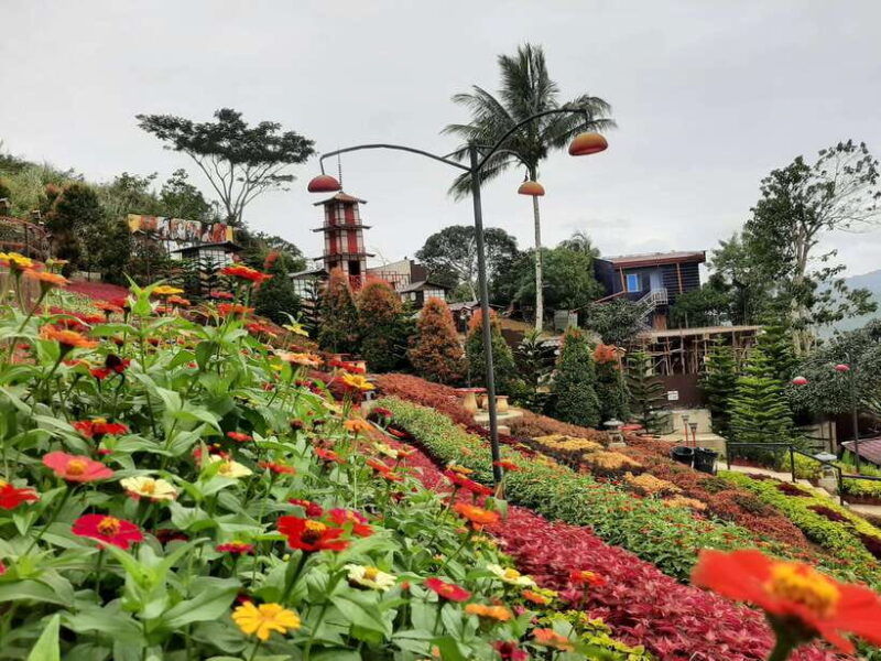 cebu-city-cultural-heritage-tour-10000-roses-visit