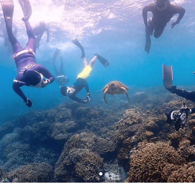 cebu-city-to-pescador-island-kawasan-canyoneering-tour