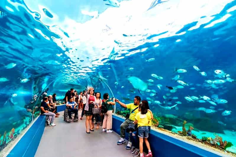 cebu-go-karting-ocean-park-history-tour-with-lunch