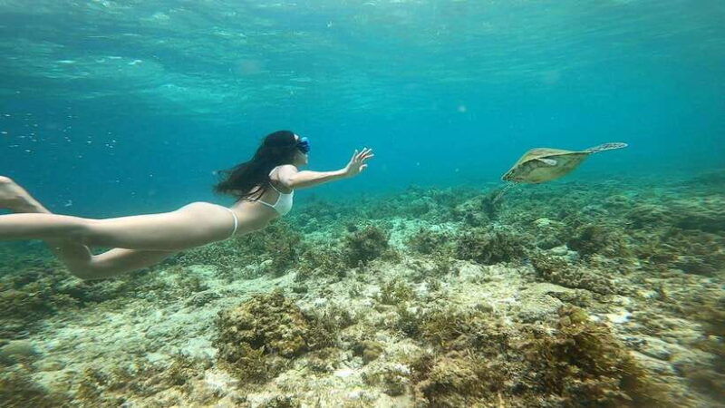 cebu-moalboal-adventure-combo-snorkel-canyoneering-lunch