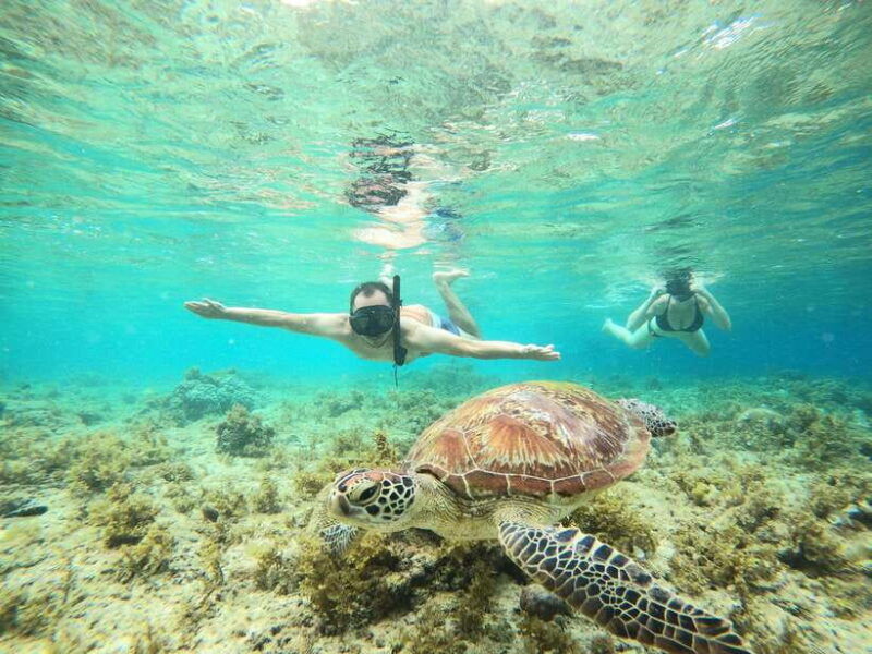 cebu-moalboal-sardines-run-snorkel-kawasan-canyoneering