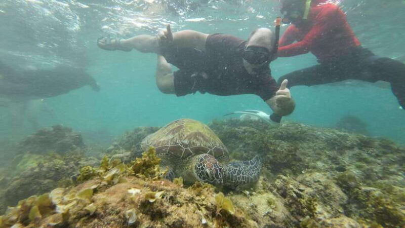 cebu-moalboal-snorkeling-kawasan-canyoneering-adventure-2