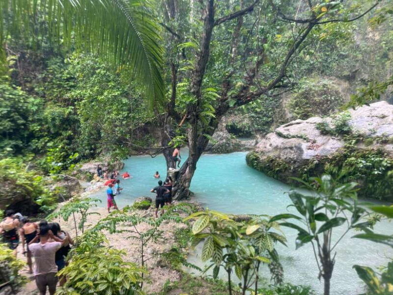 cebu-whale-shark-inambakan-falls-moalboal-sardine-tour