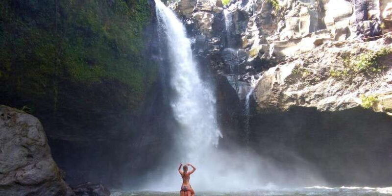 central-bali-ubud-village-rice-terrace-and-kintamani-tour