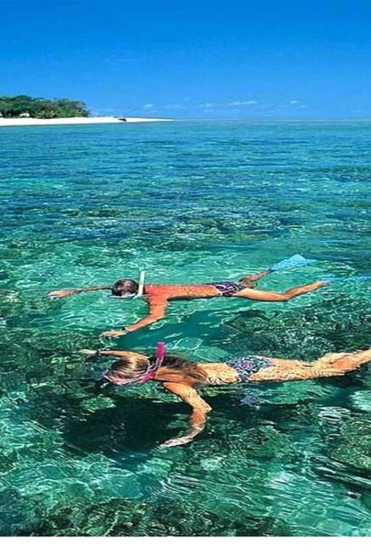 cham-island-on-a-speedboat-snorkeling-tour-from-da-nang
