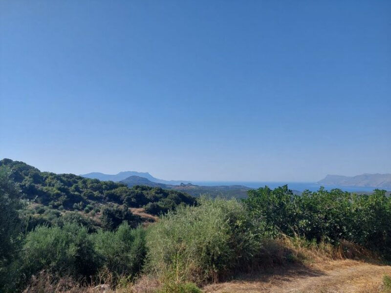 chania-5-wine-tasting-with-locals-in-village-near-kissamos