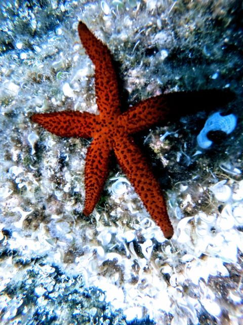 chania-try-scuba-diving-for-beginners-2