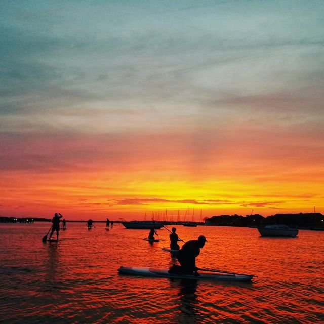 charleston-folly-beach-stand-up-paddleboard-dolphin-safari