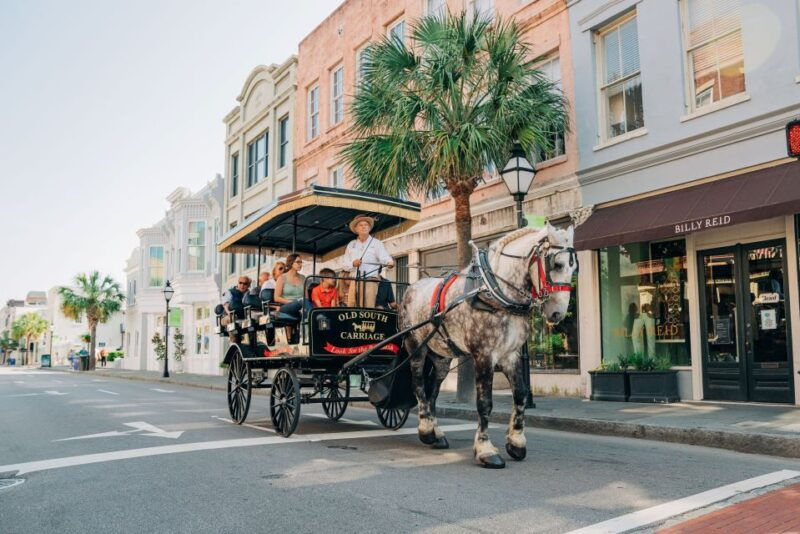 charleston-historical-downtown-tour-by-horse-drawn-carriage