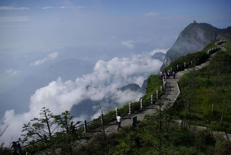chengdu-2-days-panda-leshan-buddha-and-emeishan-group-tour