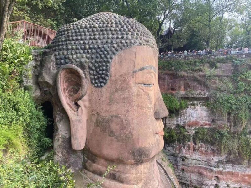 chengdu-chengdu-day-trip-with-giant-panda-and-leshan-buddha