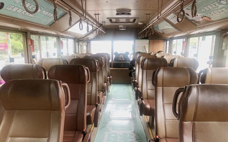 chengdu-panda-base-half-day-tour