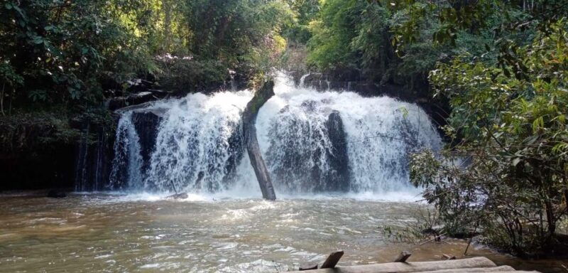 chiang-mai-2-day-jungle-trek-with-elephant-farm-raft-ride
