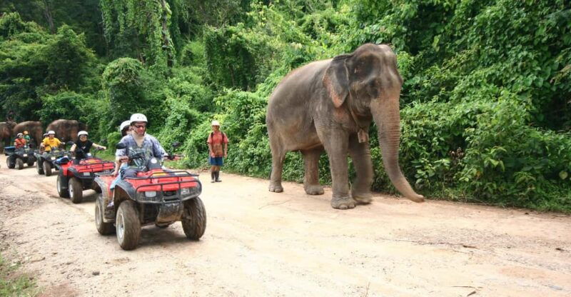 chiang-mai-atv-tour