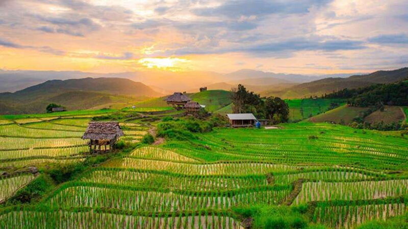 chiang-mai-doi-inthanon-pha-dok-siew-nature-trail-trek
