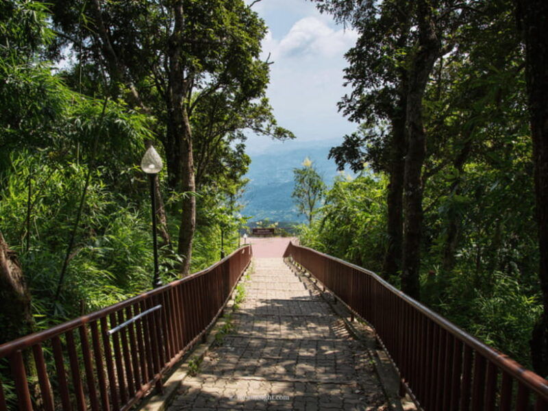 chiang-mai-doi-tung-doi-mae-salong-day-trip-with-driver